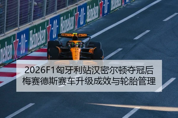 xiong-ya-li-zhan-han-mi-er-dun-duo-guan-hou-mei-sai-de-si-sai-che-sheng-ji-cheng-xiao-yu-lun-tai-guan-li-3-460.jpg
